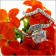 1 carat AAA high quality cz engagement ring set in 14k white gold